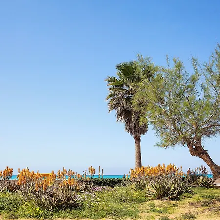 Ξενοδοχείο Bq Carmen Playa- Adults Only